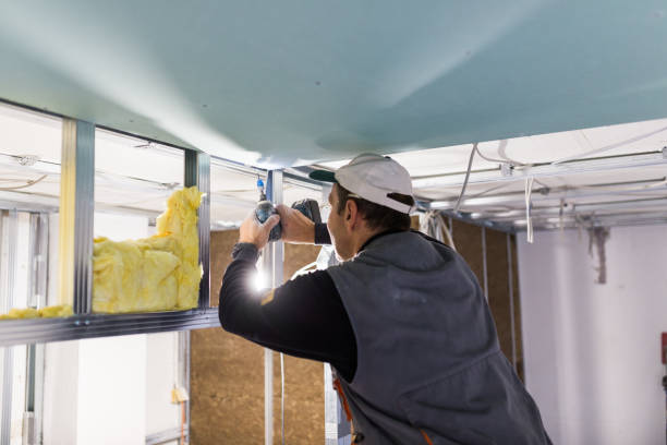Best Insulation Maintenance and Repair in Petersburg, MI