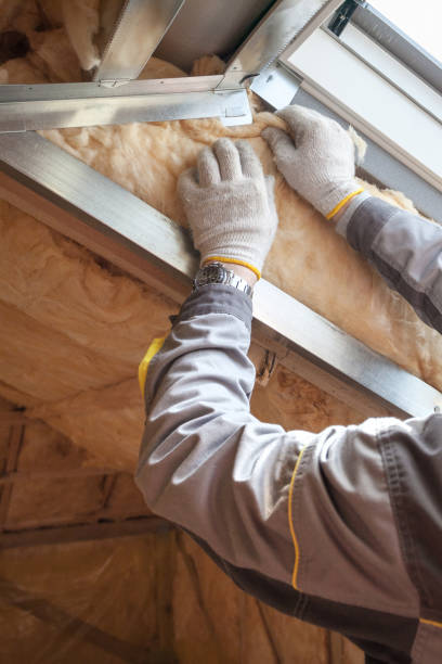 Best Commercial Insulation in Petersburg, MI