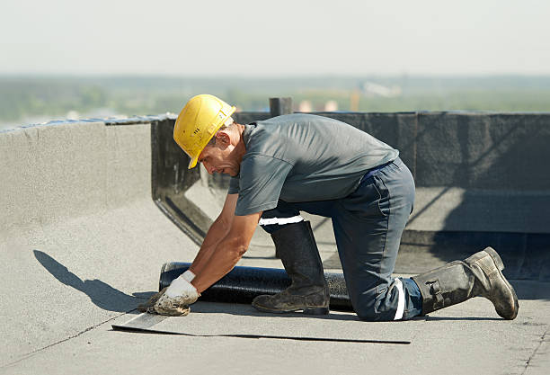Best Cellulose Insulation in Petersburg, MI