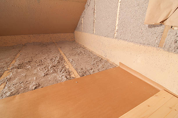 Best Eco-Friendly Insulation in Petersburg, MI