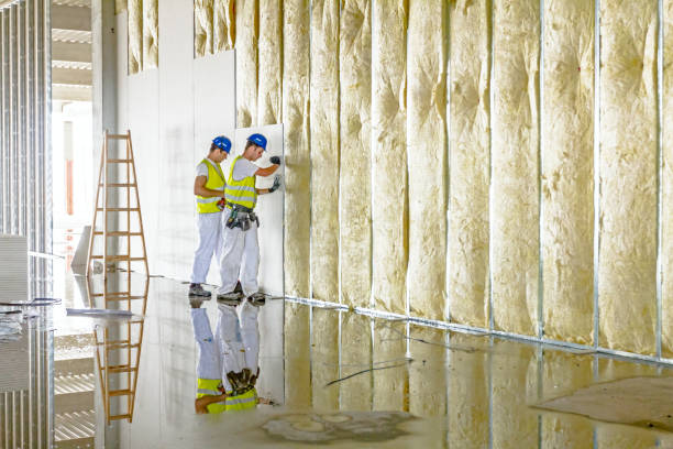 Best Fiberglass Insulation in Petersburg, MI